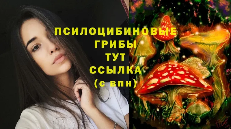 даркнет сайт  Асино  Псилоцибиновые грибы Psilocybe 